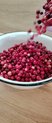 Cranberry Season — Pouring Juicy Red Berries Into a Bowl! | Berry Sounds #shorts
