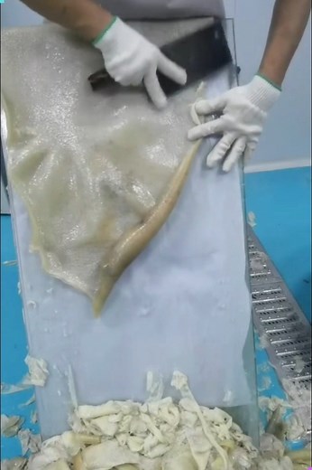 116K views · 224 reactions | Rind & Fat Separation: A Craftsmanship Story  #porkprocessing #meatskills #butcheryart #culinaryskills #meatcraft | Creative Inspiration For You | Facebook