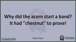 Nuts - Jokes, Puns, Wordplays, and Laughter