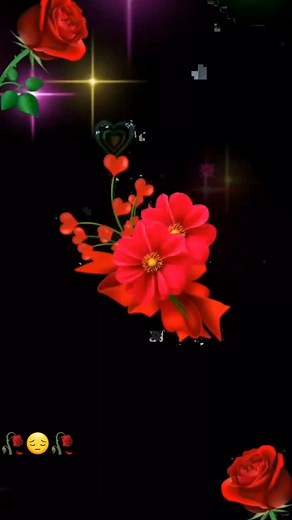 Red Roses and Decorative Elements - A Visual Delight