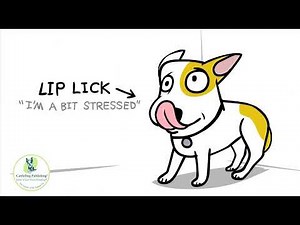 Dog Bite Prevention PSA