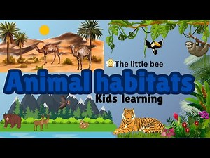 Animal And Their Habitats Desert , Forest , Freshwater ,Marine ,Rainforest for Kids Learning Part 02