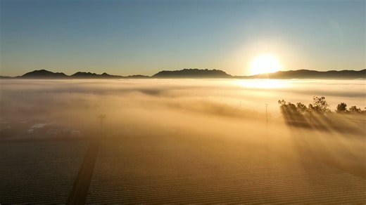 Bioline Corporate Overview | Sustainable Biological Solutions for Agriculture