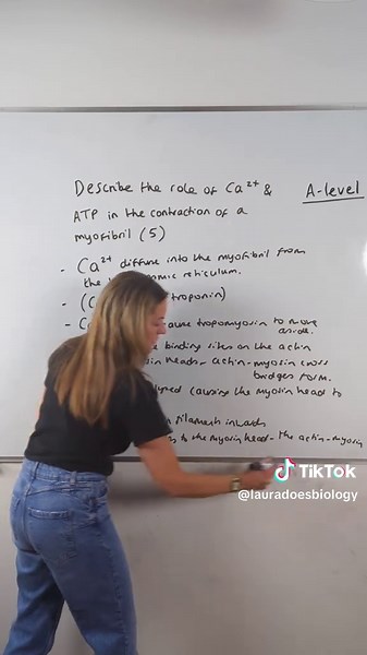 Biology Module 6 Revision - Muscle Contraction Question #alevels #alevels2025 #biologyteacher #biologytutor #alevelbiology #exam #biologystudent #alevels2024 #examseason #alevelbiologyrevision #biology #fyp #alevels #stem #STEMTok #lauradoesbiology #myedspace