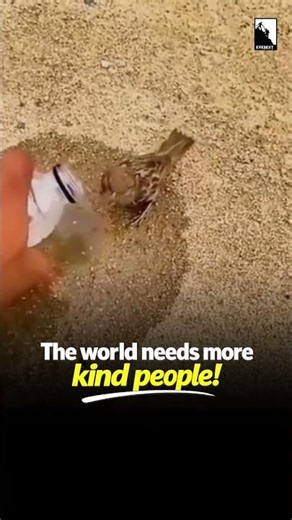 Keep a bowl of water and save wildlife from the hot Summer | Team Everest