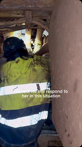 Can’t help it 😅 | Fifo Toa