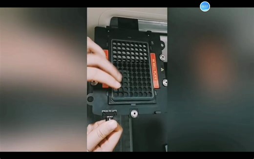 ABI Quant Studio 6 Flex荧光定量PCR（3）