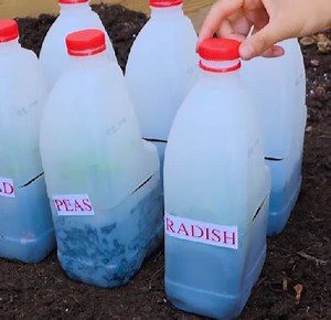 56K views · 88 reactions | Gardening hacks to help you get growing! | Green Bean | Facebook