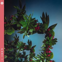 perfection by Switch