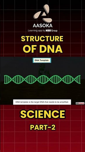Structure of DNA Part-2 | Chemistry | Class 12 | NCERT | CBSE | AASOKA #Shorts