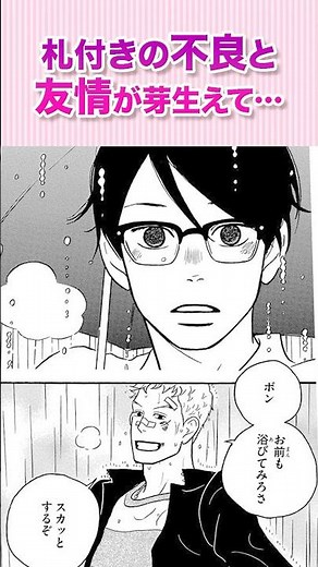 とんでもない不良が、僕の青春を変える？『坂道のアポロン②』#恋愛漫画 #少女漫画 #漫画動画 #shorts
