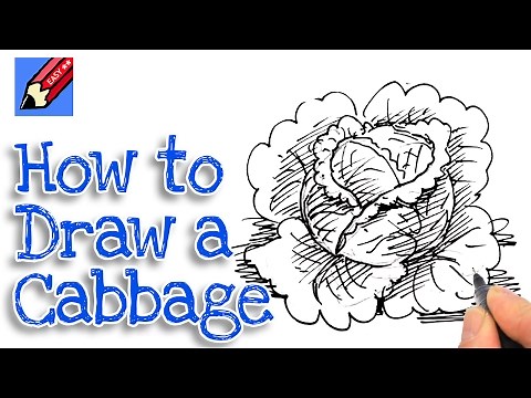 How to draw a cabbage Real Easy | Step by Step with Easy - Spoken Instructions