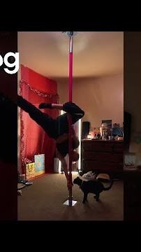 Black Cat Loves Pole Dancing With Her Owner || ViralHog