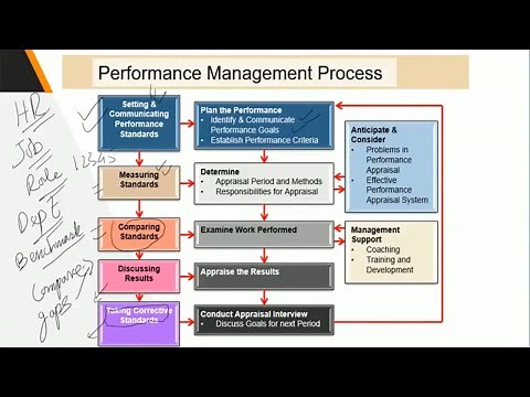 Importance of Performance Management Process in the Workplace - TheQLGConsultants