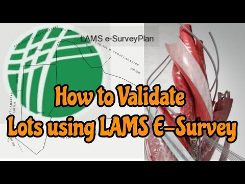 How to Validate Lots using LAMS-Esurvey | DLSD File