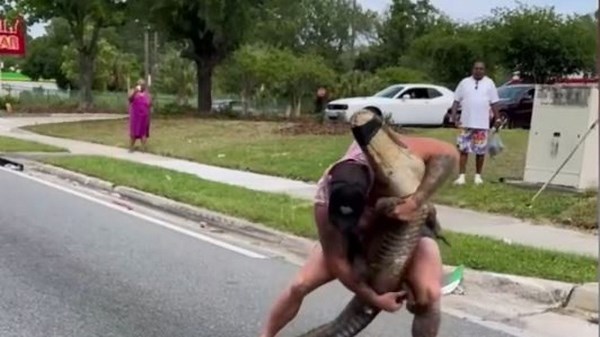 Watch: Barefoot Florida man wrangles alligator