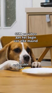 Bij BASE gaat er niemand met je restjes lopen: zet je ongebruikte data gewoon over naar de volgende maand. | BASE Belgium