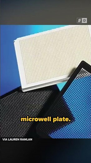 You Can RUN DOOM On Anything...