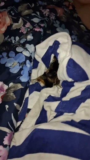 bath time realy drains my little guy