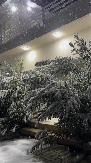 فيديوهات أنشأها 𝑺𝒂𝒓𝒂 🍒 (@lp_oo3) باستخدام original sound - ๑>ᴗ