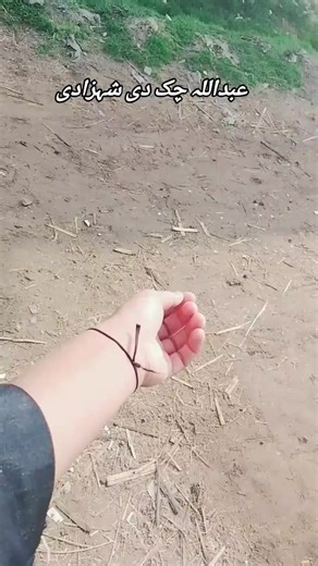 شازیہ سنگت ویڈیو اور عبداللہ چک دی شہزادی کا چرچا