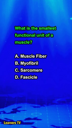 What is the smallest functional unit of a muscle? #learnerstv #education #sciencequiz | Learners TV