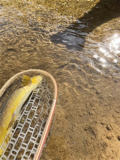 Jason Tyler Burton on Reels