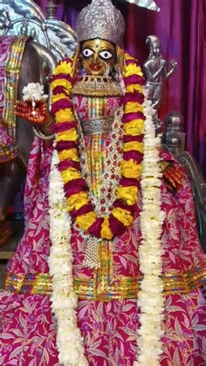 गोपीनाथजी आज के धूप झांकी दर्शन#gopinath#jaipur#premanandjipravachan#radha#krishna#indreshupadhyayji