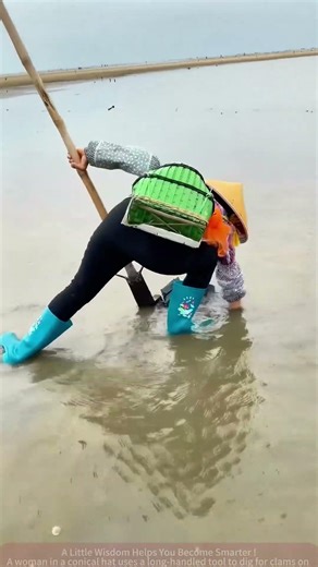 Kung Fu Is All About Speed! Clam Digging at Low Tide, This Speed Is Insane!