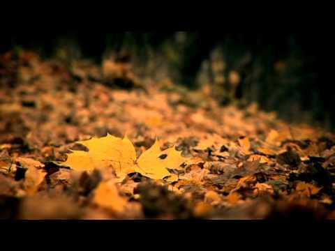 Бумбокс - Вахтерам