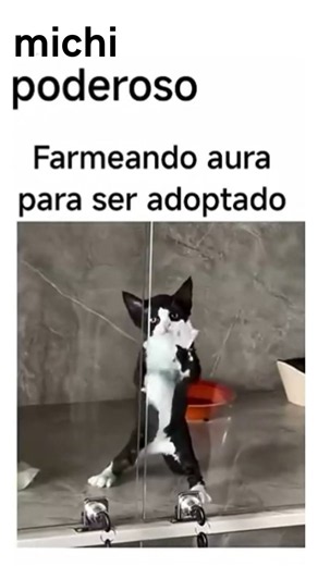 perdon por no subir tantos videos pero si tardo mucho es que no se me ocurren ideas