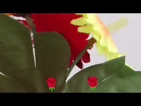 #name ka sath Haji laga da ❤️ 💙 💜❤️💙💜@naatia kalam @myfavoritemypoetry