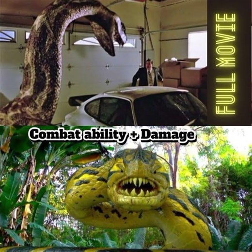 Yellow Piranhaconda 2012 vs Python 2000
