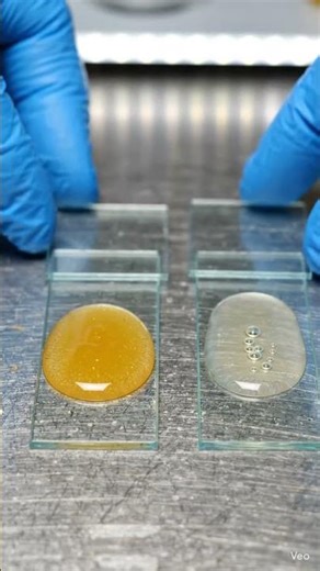 Honey vs Sugar Syrup #Honey #SugarSyrup #MicroscopeView #FoodScience #LabTest