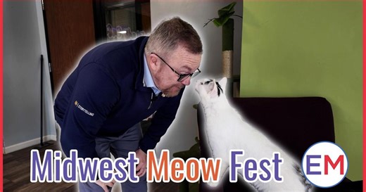 Midwest Meow Fest