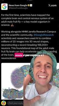 CERVELLO DI UNA MOSCA ONLINE: DA DOOM AL TRADING DI BITCOIN Google Research, HHMI Janelia e altri