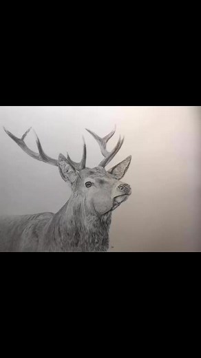 Learn to draw with Carl Fitton #learntodraw #drawing #newskills #drawinglessons #carlisle | Carl Fitton Artist