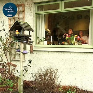 We hope you all enjoyed last night's show and the #BigGardenBirdWatch. Here's a little reminder of what the team got up to! 🐦😆#Winterwatch | BBC Springwatch