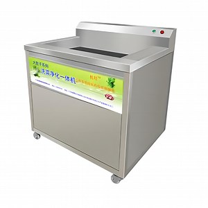 [Hot Item] Commercial Small Water Catalyst Decomposition Pesticide Vegetable Washing Machine