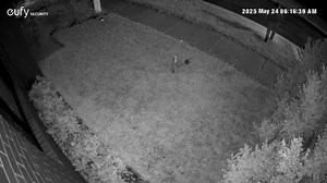 Sent in! Hi, we just saw some guy try to look in our mailbox this morning, in Deanside at 6.16am. | Concerned Citizens Page