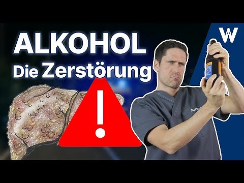 Die Zerstörung: Die gefährlichste Droge der Welt | Folgen von Alkohol für Deinen Körper!