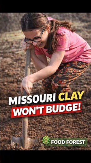 Missouri Clay Won’t Budge! 😅 | Emeline Tries to Dig a Tree Hole