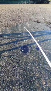 7.6K views · 32 reactions | Fish catching by hook, | Anamul Fish Farm | Facebook