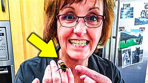 Injured Bee Doesn’t Stand A Chance Until This Woman Attempts To Pull Off A Miracle
