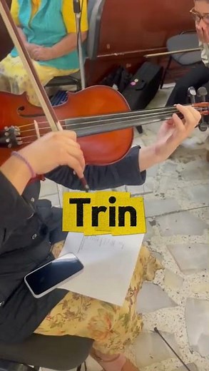 5 técnicas de violín que TODO principiante debe aprender fácil #violin #silviacuate #aprendermúsica