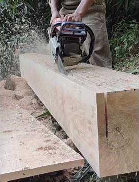 Chainsaw best cutting skills