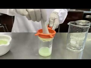 Extracción del ADN casero de platano