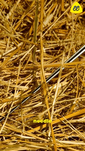 'Finding a needle in a haystack' an idiom English EdTech #idioms #idiomsandphrases #idiomoftheday