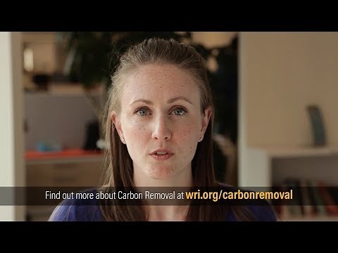 Explainer: What is Carbon Removal?