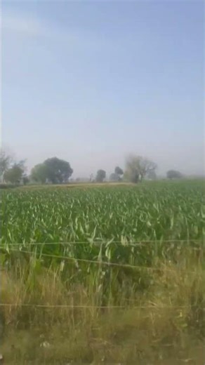 #song #indianrepublicday #road #nature##viral